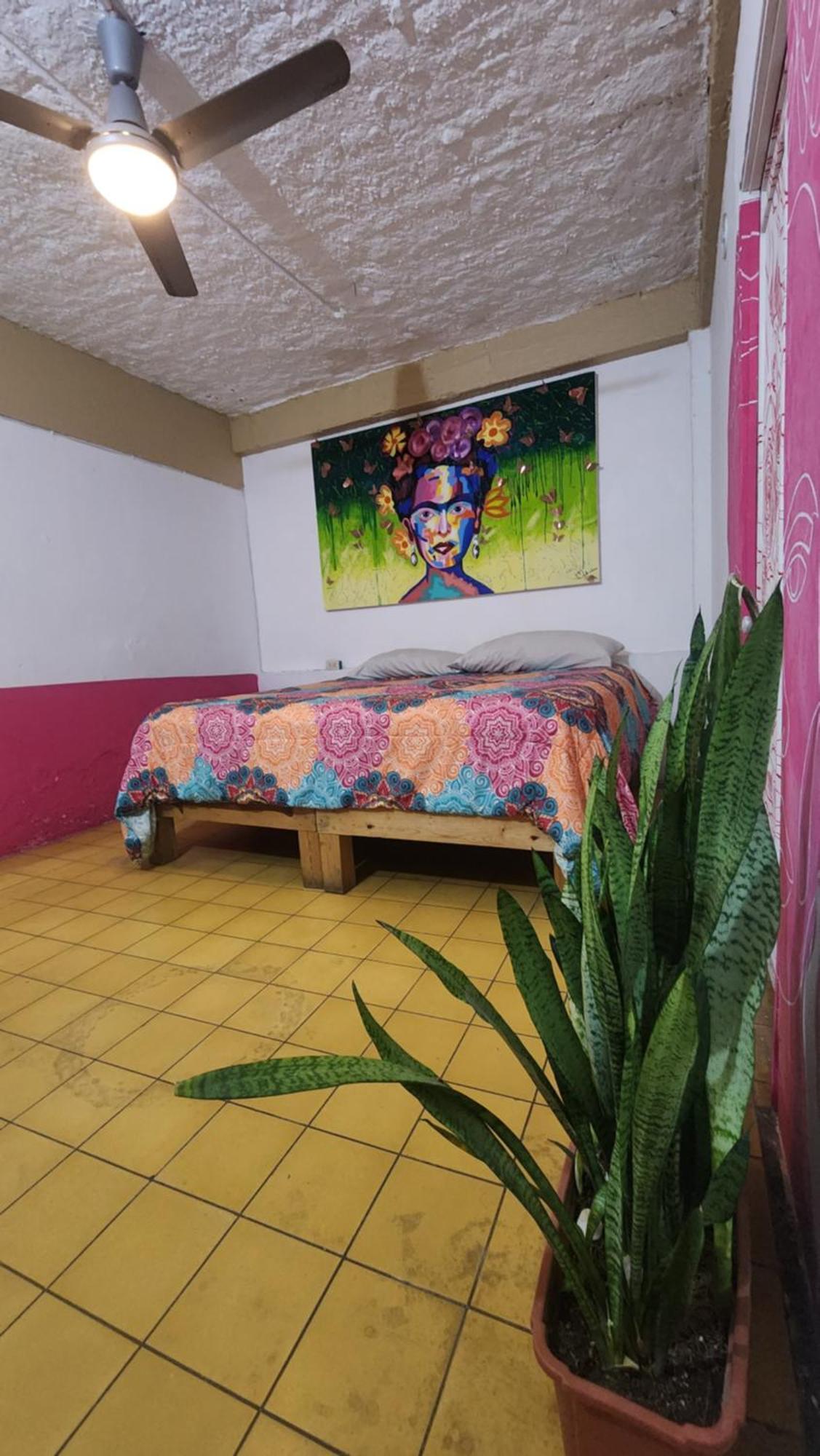 Hostel Vallarta (Adults Only) Puerto Vallarta Exterior foto